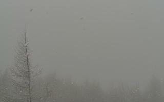 Jaworzyna Krynicka 2 - <br />
<b>Notice</b>:  Undefined index: godzina in <b>/var/www/webcam-news.pl/sites/elements/video-list-category-item.php</b> on line <b>23</b><br />
01-01-1970 00:00