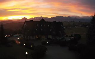 Redyk - 02-11-2025 05:30