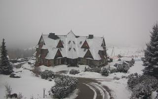 Redyk - 29-01-2026 09:53