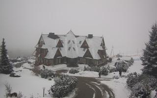 Redyk - 29-01-2026 10:25