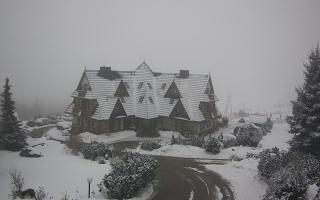 Redyk - 29-01-2026 10:40