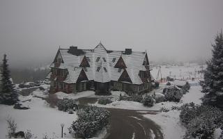 Redyk - 29-01-2026 10:56