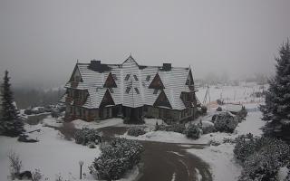 Redyk - 29-01-2026 11:11