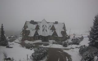 Redyk - 29-01-2026 11:27