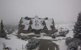 Redyk - 29-01-2026 11:42