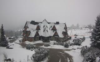 Redyk - 29-01-2026 11:58