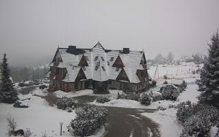 Redyk - 29-01-2026 12:13