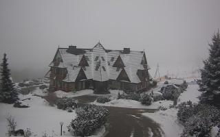 Redyk - 29-01-2026 12:29