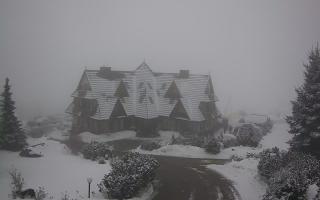 Redyk - 29-01-2026 13:00