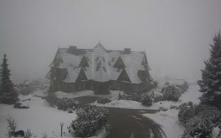 Redyk - 29-01-2026 13:15