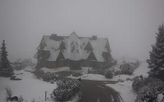 Redyk - 29-01-2026 13:31