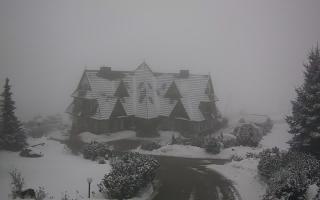 Redyk - 29-01-2026 13:46