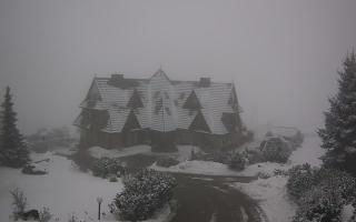 Redyk - 29-01-2026 14:18