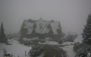 Redyk - 29-01-2026 14:49