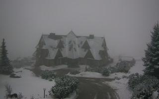 Redyk - 29-01-2026 15:04