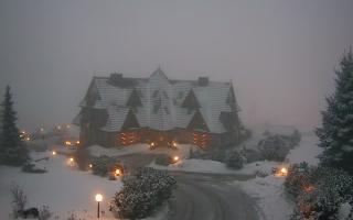 Redyk - 29-01-2026 15:51