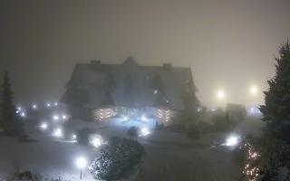 Redyk - 29-01-2026 16:53