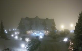 Redyk - 29-01-2026 17:24