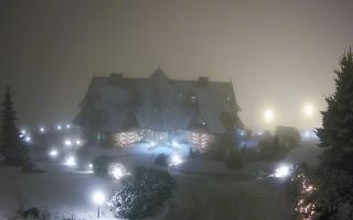 Redyk - 29-01-2026 17:40