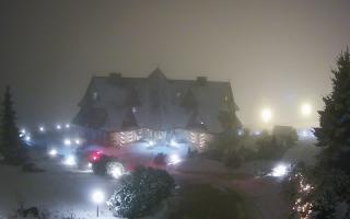 Redyk - 29-01-2026 17:55