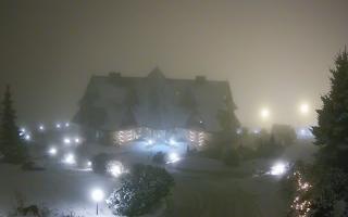 Redyk - 29-01-2026 17:08