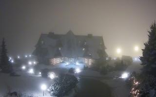 Redyk - 29-01-2026 18:26