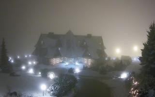 Redyk - 29-01-2026 18:42