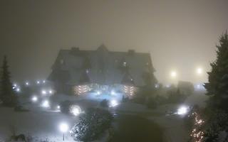 Redyk - 29-01-2026 18:57