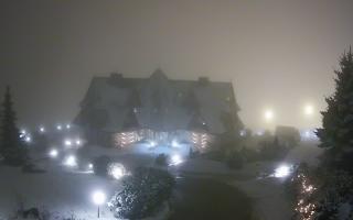 Redyk - 29-01-2026 19:13