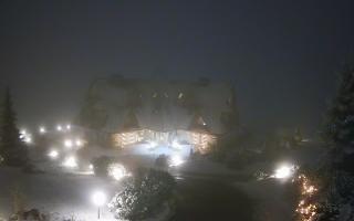 Redyk - 29-01-2026 21:01