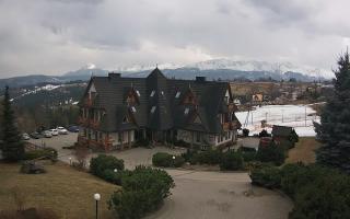 Redyk - 16-03-2026 12:29