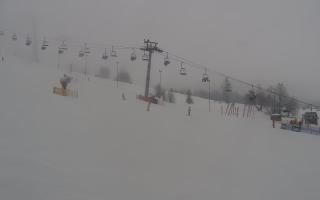 Kaniówka - Białka T. - 29-01-2026 12:49