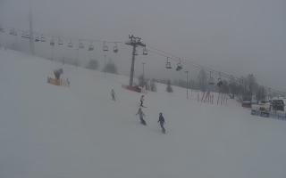 Kaniówka - Białka T. - 29-01-2026 14:42