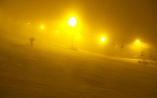 Kaniówka - Białka T. - 29-01-2026 16:07