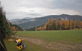 Tylicz-ski - 03-11-2025 07:19