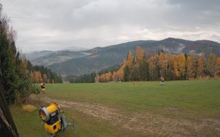 Tylicz-ski - 03-11-2025 07:26