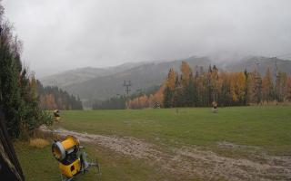 Tylicz-ski - 03-11-2025 10:50