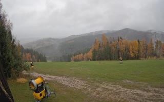 Tylicz-ski - 03-11-2025 11:18