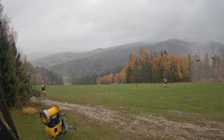 Tylicz-ski - 03-11-2025 11:32