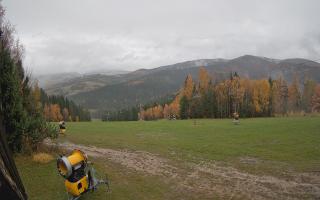 Tylicz-ski - 03-11-2025 12:35