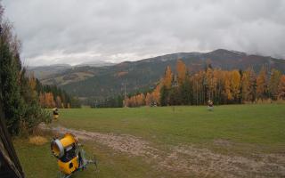 Tylicz-ski - 03-11-2025 14:42