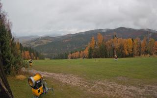 Tylicz-ski - 03-11-2025 14:49