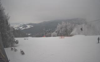 Tylicz-ski - 01-02-2026 13:15