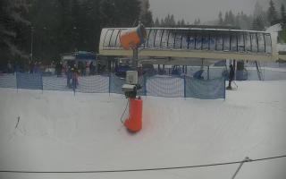 Nartorama Zieleniec - 29-01-2026 13:47