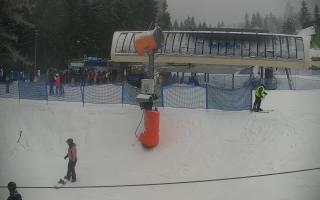 Nartorama Zieleniec - 29-01-2026 13:55