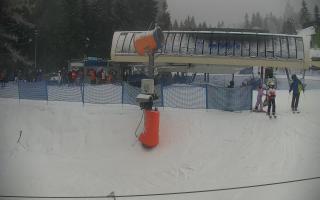 Nartorama Zieleniec - 29-01-2026 14:02