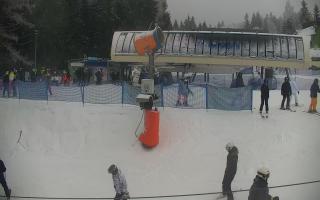 Nartorama Zieleniec - 29-01-2026 14:18