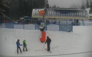 Nartorama Zieleniec - 29-01-2026 14:26