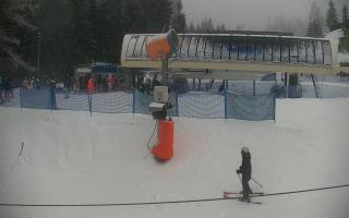 Nartorama Zieleniec - 29-01-2026 14:33