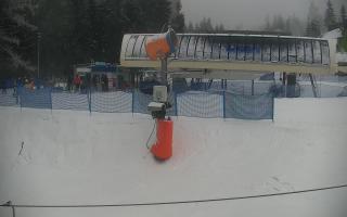 Nartorama Zieleniec - 29-01-2026 14:41